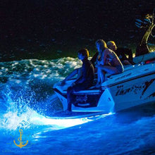 Load image into Gallery viewer, 12v 18 Watt Ultra Compact 316 Stainless Steel Underwater Trailer Boat Transom Submersible LED Light (Available: Blue & Green)