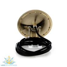Load image into Gallery viewer, 12V~24v BLUEFIN 50w Piranha P6CC NITRO Color Change LED Underwater Light