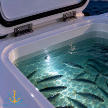 Load image into Gallery viewer, 12v Submersible/Waterproof LED Bait Tank 1.49" Thru-Wall Light Courtesy Light